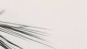 Viajar te permite amp0liar tu perspectiva de las cosas