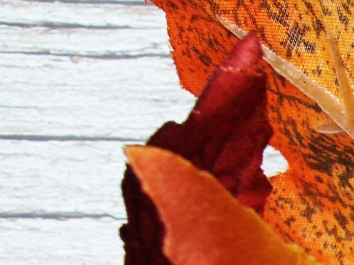 CALENDARIO NOVIEMBRE