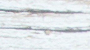 CALENDARIO NOVIEMBRE