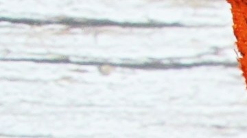 CALENDARIO NOVIEMBRE