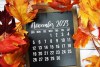 CALENDARIO NOVIEMBRE
