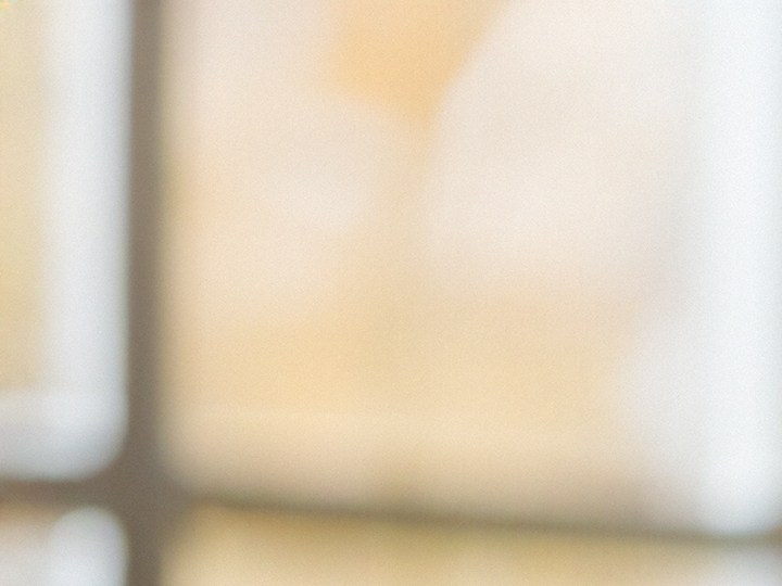 El Día de acción de Gracias es una fecha importante en dónde los servicios