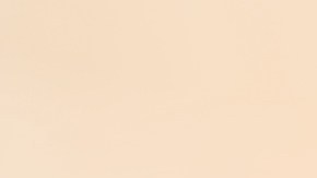 Planifica tus compras de Diciembre con los pagos del Seguro Social