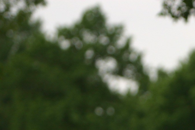 Este es un día feriado en Estados Unidos