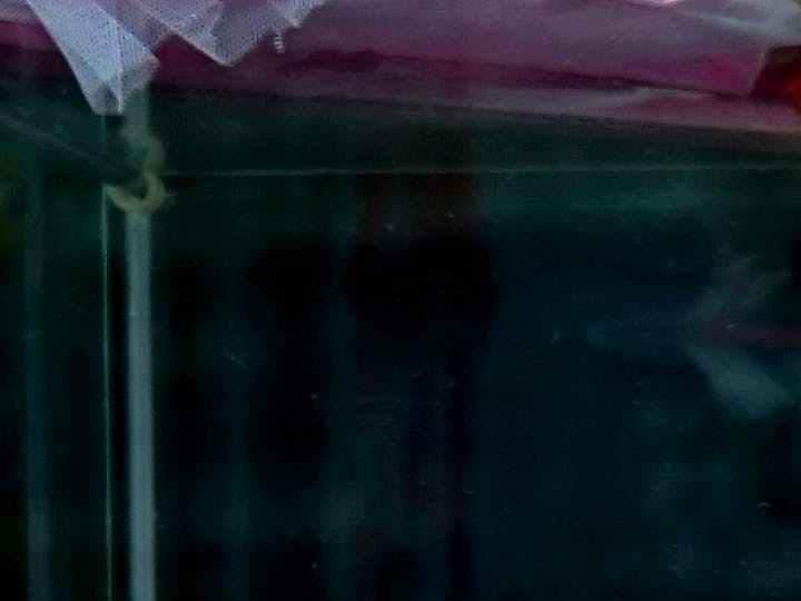 Explora la emoción de las ofertas en juguetes para niños en 2023. Desde el emocionante Super Web Slinger de Spider-Man hasta la creatividad del Easy-Bake Ultimate Oven, encuentra juguetes que cautivarán a tus hijos sin comprometer tu presupuesto.