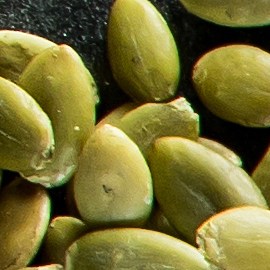 Consigue alimentos en Amazon