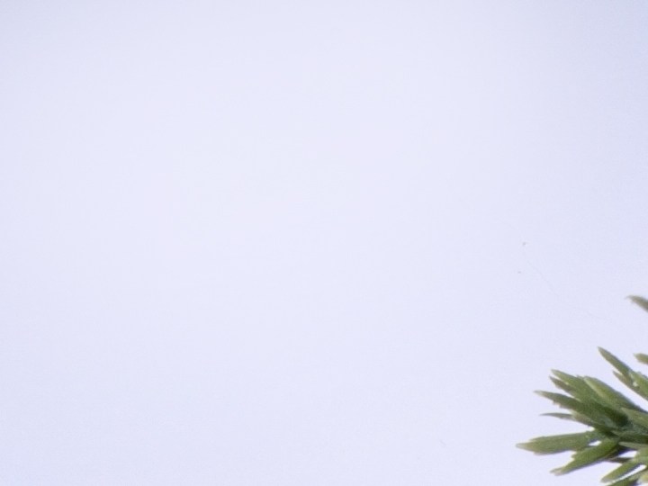 Regalos tecnológicos