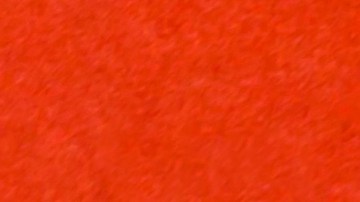 Conoce los productos que más se recomienda comprar en el mes de diciembre de este año 2023