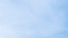 Consigue todo lo que necvesites en Walmart