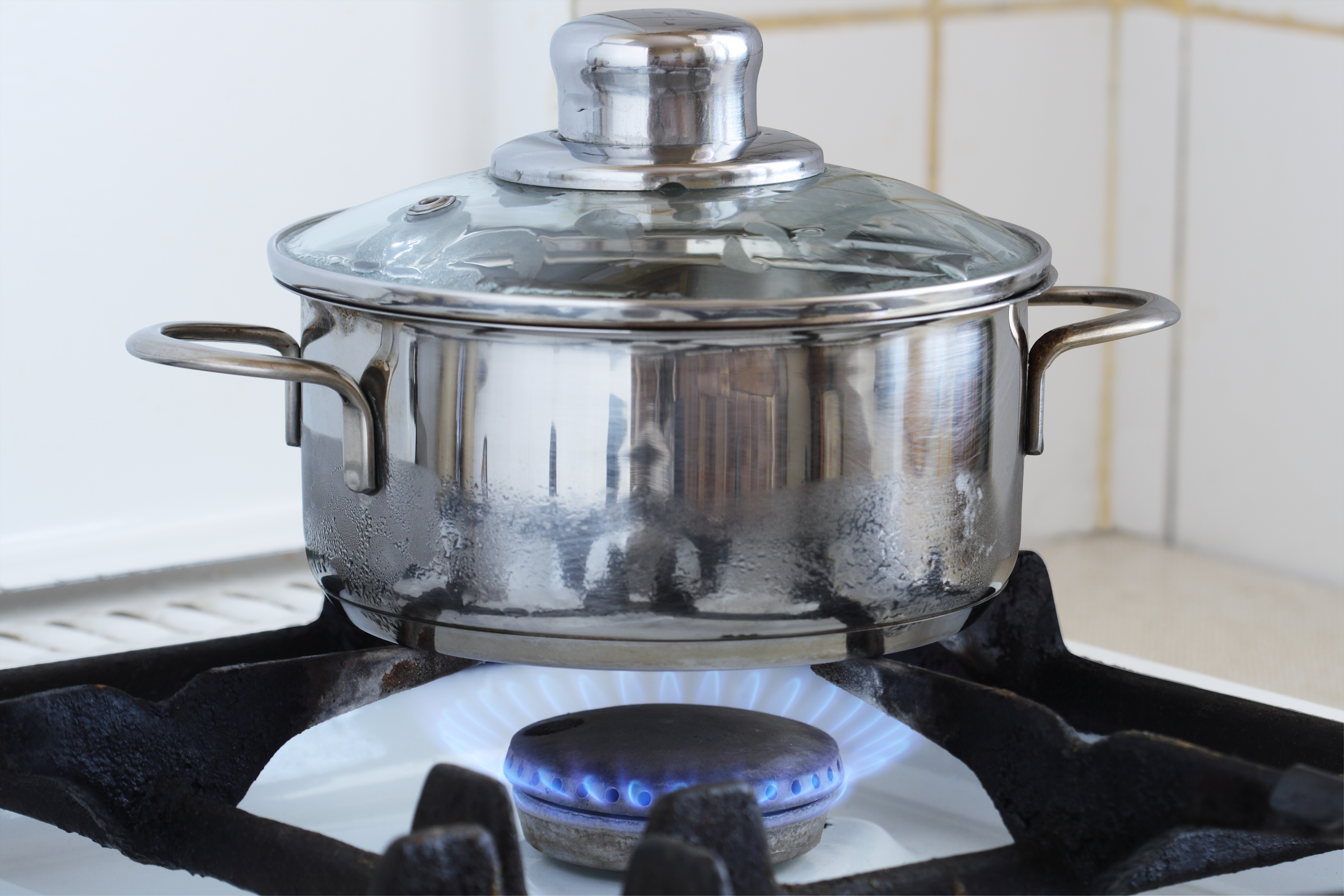 Compra una olla de cocción