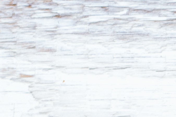 Consigue alimentos gracias a este programa