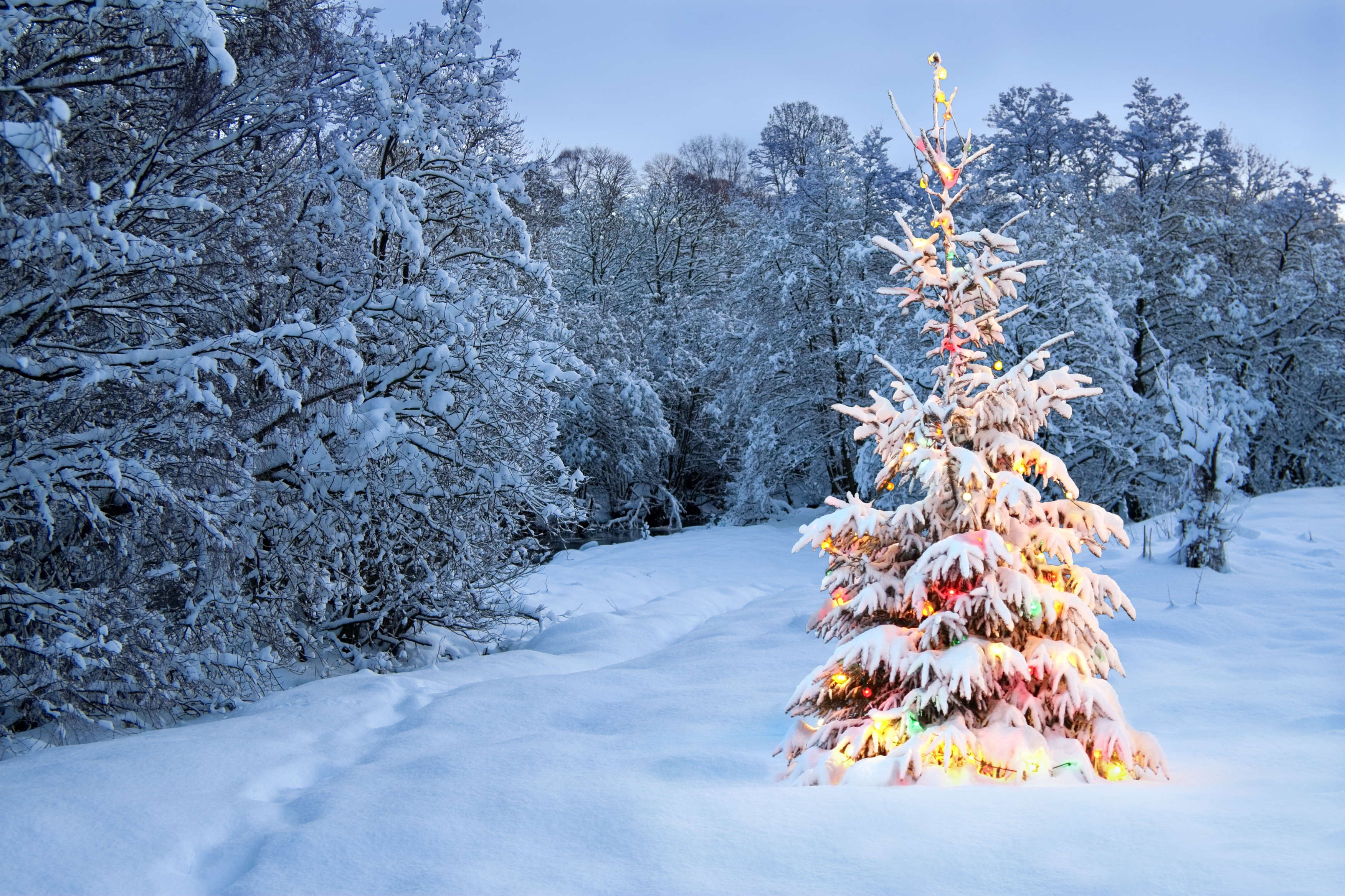 "Planifica tu Navidad con nieve: conoce las regiones donde la probabilidad de una Blanca Navidad es alta. Descubre destinos encantadores para unas vacaciones invernales perfectas.