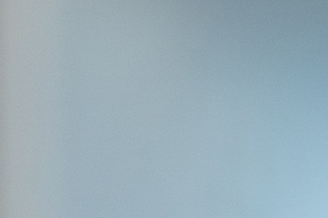 Enfrentamos a los gigantes de compras al por mayor, Costco y Sam's Club, para ayudarte a decidir tu mejor opción.