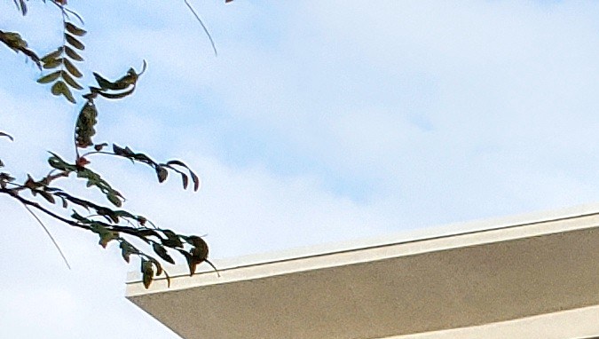 TJ Maxx, el hermano mellizo de Marshalls, ofrece ofertas similares en moda y accesorios. Nuevos residentes pueden explorar con tiempo y comparar precios para descubrir productos de calidad a precios sorprendentes.