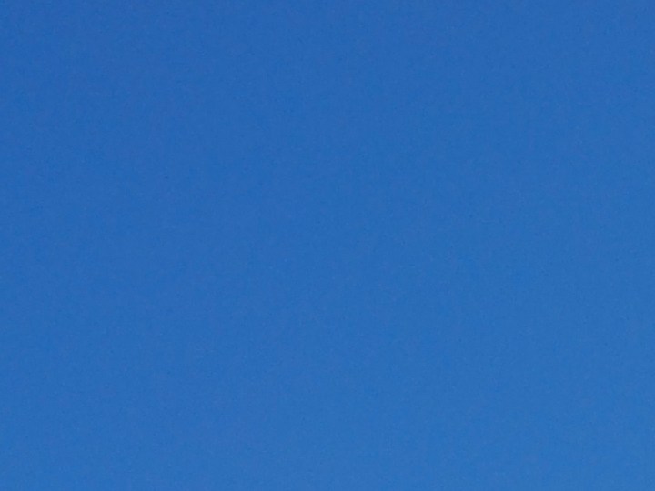 Sumérgete en las reseñas y precios increíbles de productos populares en Target, como la Canon IVY 2 Mini Photo Printer en oferta por $69.99, el Amazon Echo Pop con un descuento del 55%, y la emocionante Arcade1Up Street Fighter II CE HS-5 Deluxe Arcade Machine con un ahorro de $120.00. ¡No te pierdas estas ofertas exclusivas del 04 de enero!