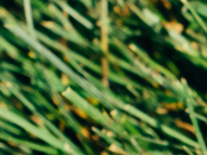 Explora el futuro de la realidad mixta con las Meta Quest 3: desde su Infinity Display 4K+ hasta el potente Snapdragon XR2 Gen 2, estas gafas ofrecen un salto cuántico en la experiencia de usuario. Sumérgete en un mundo de sonido espacial 3D y descubre la fusión perfecta entre diseño y rendimiento.