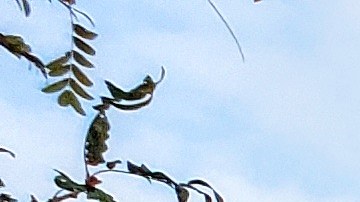 Sumérgete en un mundo de descuentos asombrosos con las ofertas destacadas de TJ.Maxx hoy. Desde sets de cuidado de la piel de CLINIQUE hasta elegantes mesas de acento THREE HANDS, descubre cómo mejorar tu estilo de vida sin sacrificar tu presupuesto con estas ofertas imperdibles.