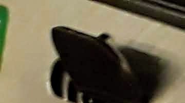 Explora la guía definitiva de compras en Marshalls y desvela los días ideales para conseguir los mayores descuentos. Desde moda hasta artículos para el hogar, te revelamos cómo maximizar tus ahorros y encontrar productos únicos.