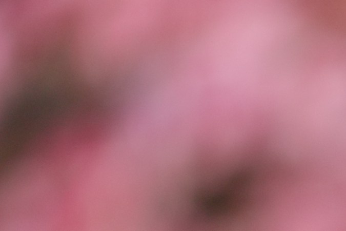 Sumérgete en un viaje hacia la elección óptima para tus sesiones de yoga con la Alfombra Yoda de Alo Yoga. Este artículo explora la magia detrás de esta esterilla, destacando su diseño encantador, su agarre excepcional y cómo se convierte en la aliada perfecta para cada pose. Descubre por qué la comunidad de yoga elige la Alfombra Yoda como la mejor compañera de práctica.