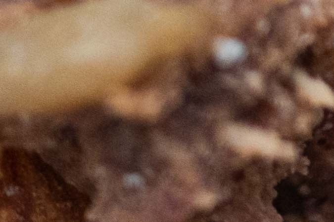 Por múltiples facotres, este tipo de productos comestibles no deben comprarse en super lots