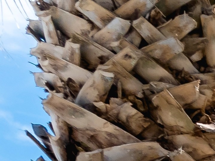 Descubre las ofertas imperdibles en Walmart hoy, 27 de febrero, con descuentos increíbles en productos destacados. Desde una Freidora de aire Kalorik® hasta un revolucionario Asiento de automóvil convertible Evenflo Revolve360, encuentra todo lo que necesitas a precios irresistibles.