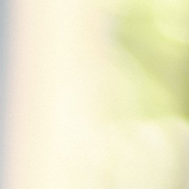 Come feliz y soriente y lo mejor sin pagar demasiado dinero, con estos nuevos descuentos especiales para adultos mayores