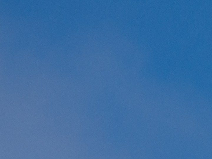 Conoce la historia y detalles del Día de los Presidentes 2024. Descubre qué estará disponible durante este feriado federal.