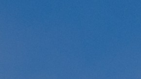 Conoce la historia y detalles del Día de los Presidentes 2024. Descubre qué estará disponible durante este feriado federal.