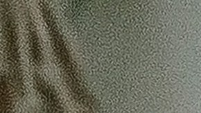 Consigue generar ingresos desde casa de manera sencilla y legal