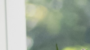 ¿Listo para presentar tus impuestos? Conoce las mejoras del IRS en horarios, servicios telefónicos y la herramienta '¿Dónde está mi reembolso?