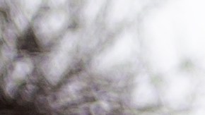 Estilistas revelan las chaquetas acolchadas imprescindibles para hombres y mujeres en 2024. Mantente a la moda y cómodo durante los días fríos con estas selecciones de alta calidad.