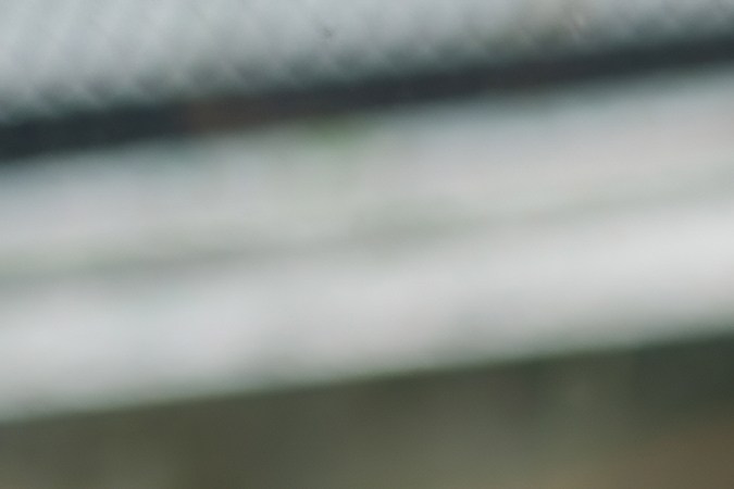 MetLife, la opción con cobertura inmediata por accidentes y primas competitivas. Aunque carece de opciones solo para accidentes, sus múltiples descuentos y reembolsos por tarifas de examen hacen que esta aseguradora destaque como una elección inteligente para dueños de mascotas.

