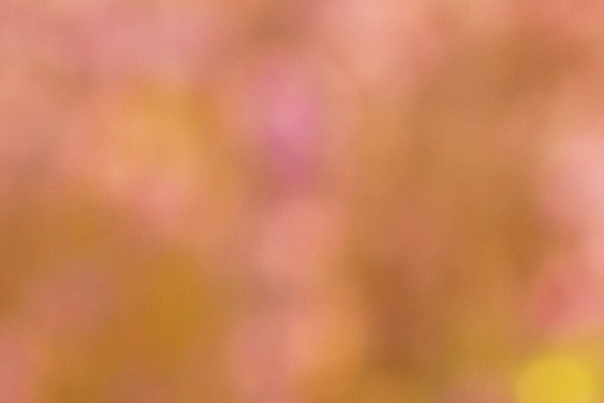 Copas sostenidas por manos y brindando