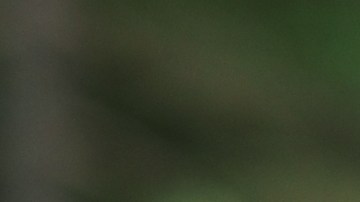 ¡No te pierdas las ofertas imperdibles de REI en el Presidents Day! Equipamiento de camping, senderismo, bicicletas y moda outdoor con descuentos de hasta el 50%. Aventuras al aire libre, ¡listas para comenzar!