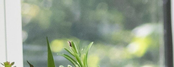 Paga tus impuestos de manera inteligente y sin gastar mucho