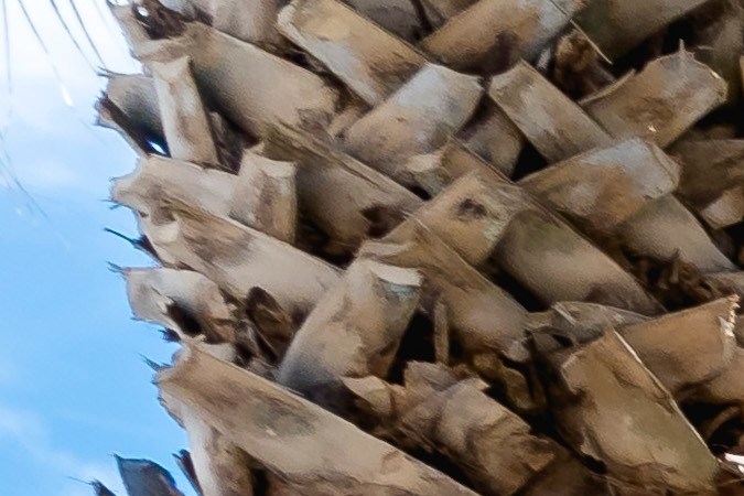 Actualización emocionante de Walmart: Ampliación de horarios de entrega a domicilio. Conoce los beneficios de la suscripción Walmart Plus y los detalles sobre los nuevos servicios disponibles.

