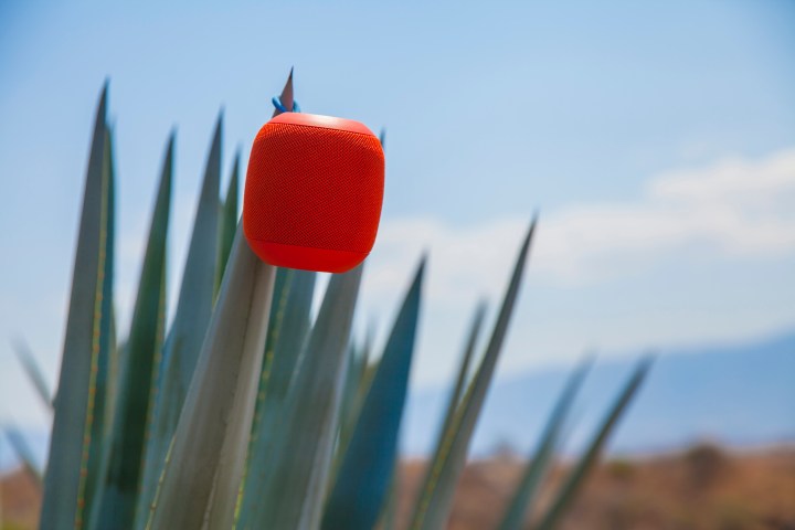 Sumérgete en la experiencia de usuario del Skullcandy Ounce mientras te adentras en su diseño ergonómico, controles intuitivos y conectividad Bluetooth estable, que lo convierten en un compañero ideal para todas tus aventuras al aire libre y en interiores.
