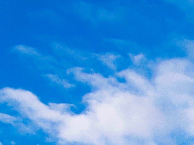 Conoce los secretos detrás de los precios bajos de Aldi y cómo esta cadena alemana te ayuda a ahorrar en tus compras diarias.
