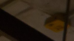 Experimenta la magia de Dairy Queen mientras te sumerges en una experiencia helada sin igual durante su "Día del Cono Gratis", un evento que promete delicias gratuitas y sonrisas infinitas.