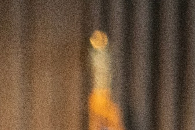 Descubra quién puede obtener la ciudadanía estadounidense y los pasos necesarios para cumplir con los requisitos de elegibilidad.