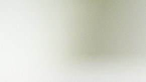 Conoce el panorama completo de la educación pública y privada en los Estados Unidos y encuentra la opción que mejor se adapte a tu presupuesto familiar.