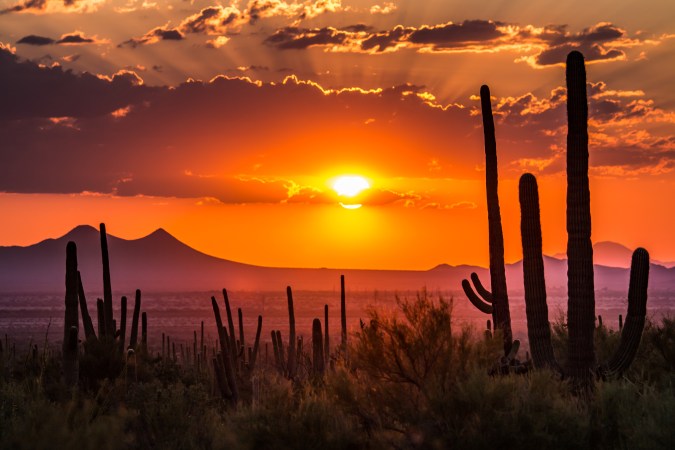 Descubre la rica historia y arquitectura de Tucson, Arizona, explorando el encantador Barrio Viejo y sus casas de adobe. Visita el Tucson Presidio Museum y las galerías locales para sumergirte en la historia y el arte de la ciudad.