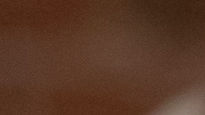 "Exploramos las oportunidades laborales más atractivas en Estados Unidos, desde puestos en tecnología hasta roles en consultoría y finanzas, en las empresas más valoradas por sus empleados.