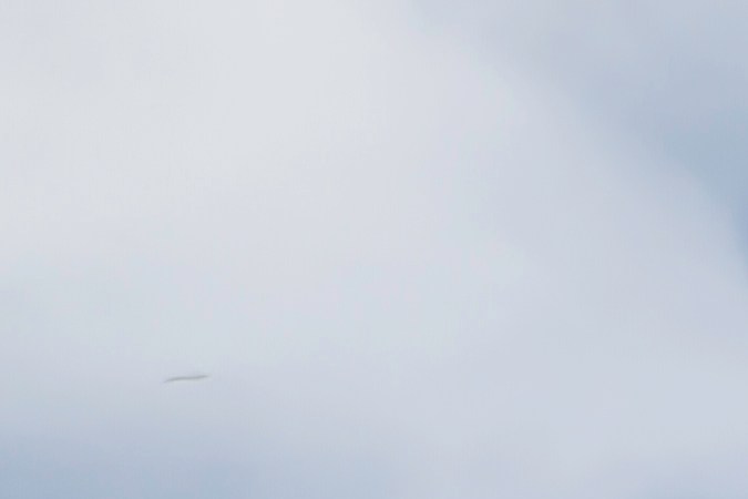 Celebra el Día de Impuestos 2024 con Arby's y su generosa oferta de un sándwich gratis como parte del Mes de Sándwiches Gratis. Ya sea que seas un miembro de Arby's Rewards o te registres ahora, no te pierdas la oportunidad de disfrutar de un sándwich gratis con cada compra durante todo el mes de abril.