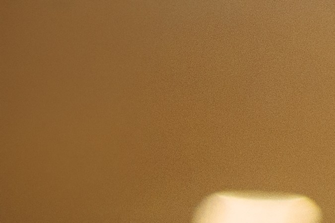 No te quedes sin comunicación. El programa Lifeline te ayuda a pagar por un servicio telefónico celular o de internet si tienes un ingreso bajo. ¡Solicita el tuyo y disfruta de este beneficio!