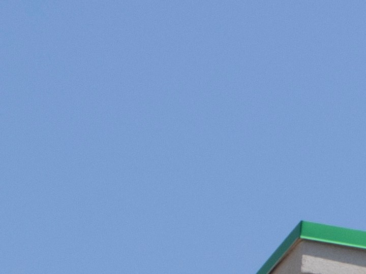 ¿Buscas artículos asequibles para el hogar? Antes de ir a Dollar Tree, conoce cuáles son los 7 productos que debes evitar comprar esta primavera.