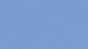 ¿Buscas artículos asequibles para el hogar? Antes de ir a Dollar Tree, conoce cuáles son los 7 productos que debes evitar comprar esta primavera.