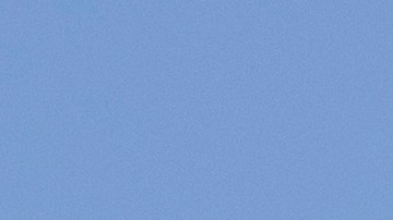 ¿Buscas artículos asequibles para el hogar? Antes de ir a Dollar Tree, conoce cuáles son los 7 productos que debes evitar comprar esta primavera.