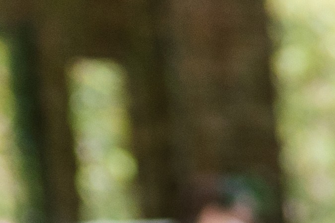 Las taquerías no solo se tratan de tacos. Muchas ofrecen una variedad de platos mexicanos tradicionales como burritos, quesadillas, tortas y hasta pozole