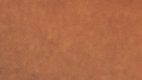 Deléitate con descuentos especiales en el Día de la Tierra y haz tu parte por el medio ambiente. Explora las mejores ofertas en tecnología, artículos para el hogar y más, diseñadas para inspirarte a vivir de forma más sostenible mientras ahorras dinero.